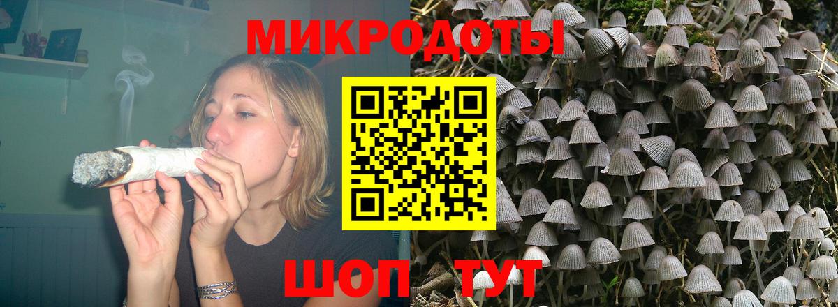 Псилоцибиновые грибы мухоморы Нововоронеж