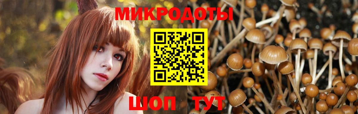 Галлюциногенные грибы мухоморы  Галлюциногенные грибы Magic Shrooms  цена   Вход с VPN  Нововоронеж 